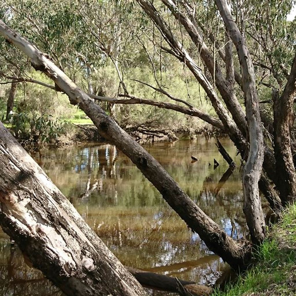 Lot 883 Woodbine Road, Regans Ford WA 6507 House for Sale 40 ha