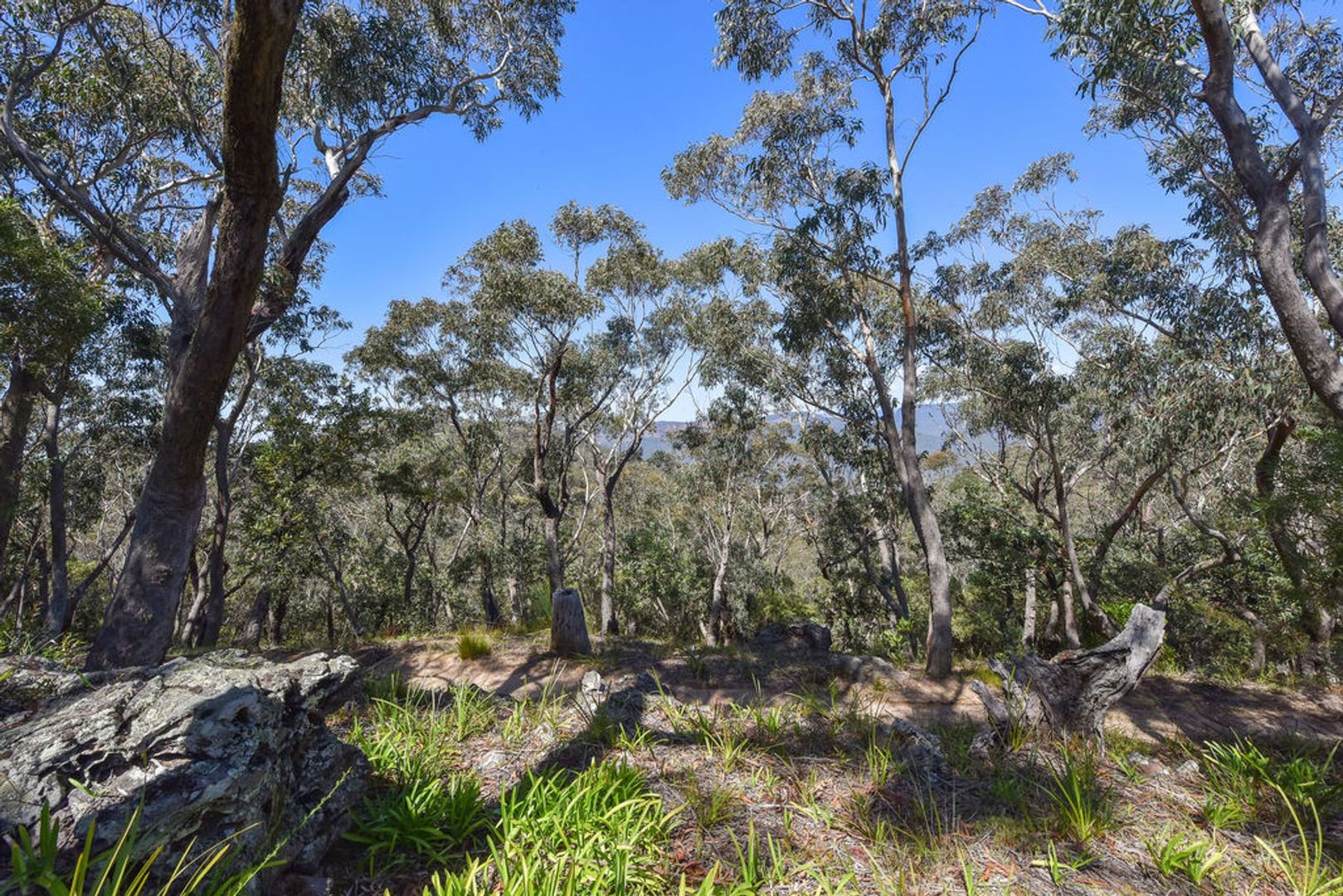 16 The Links Rd, Leura NSW 2780, Image 1