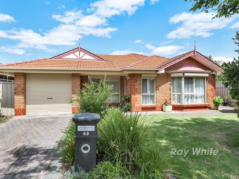 45 Lynton Avenue, Gilles Plains SA 5086, Image 0