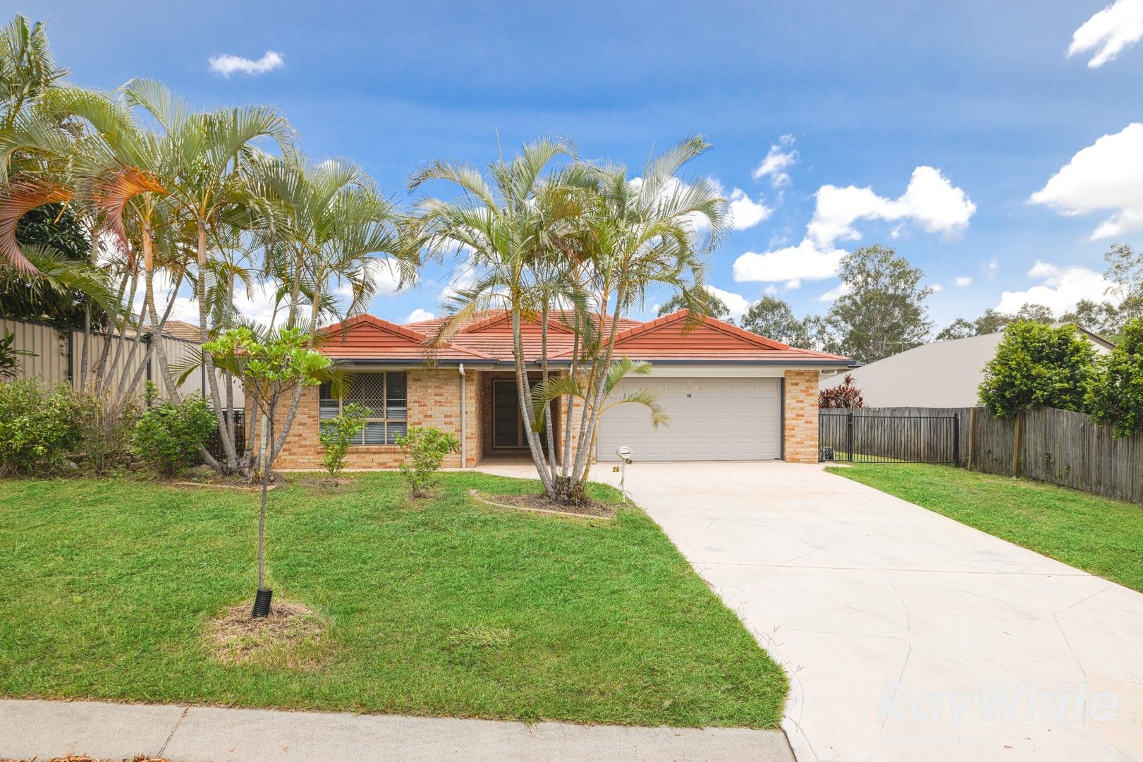 26 Young Place, Runcorn QLD 4113 House For Rent 780 Domain