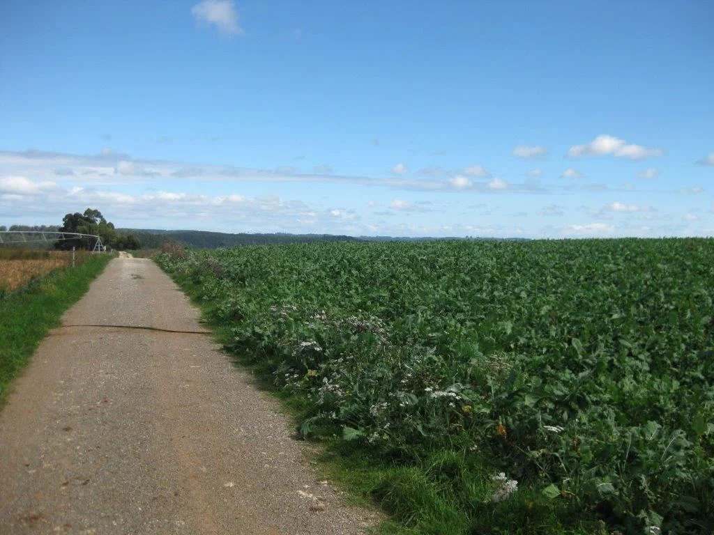Image 14