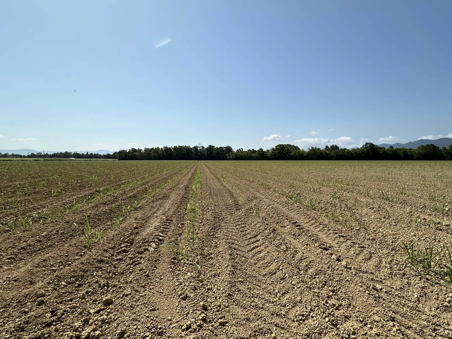 Image 17