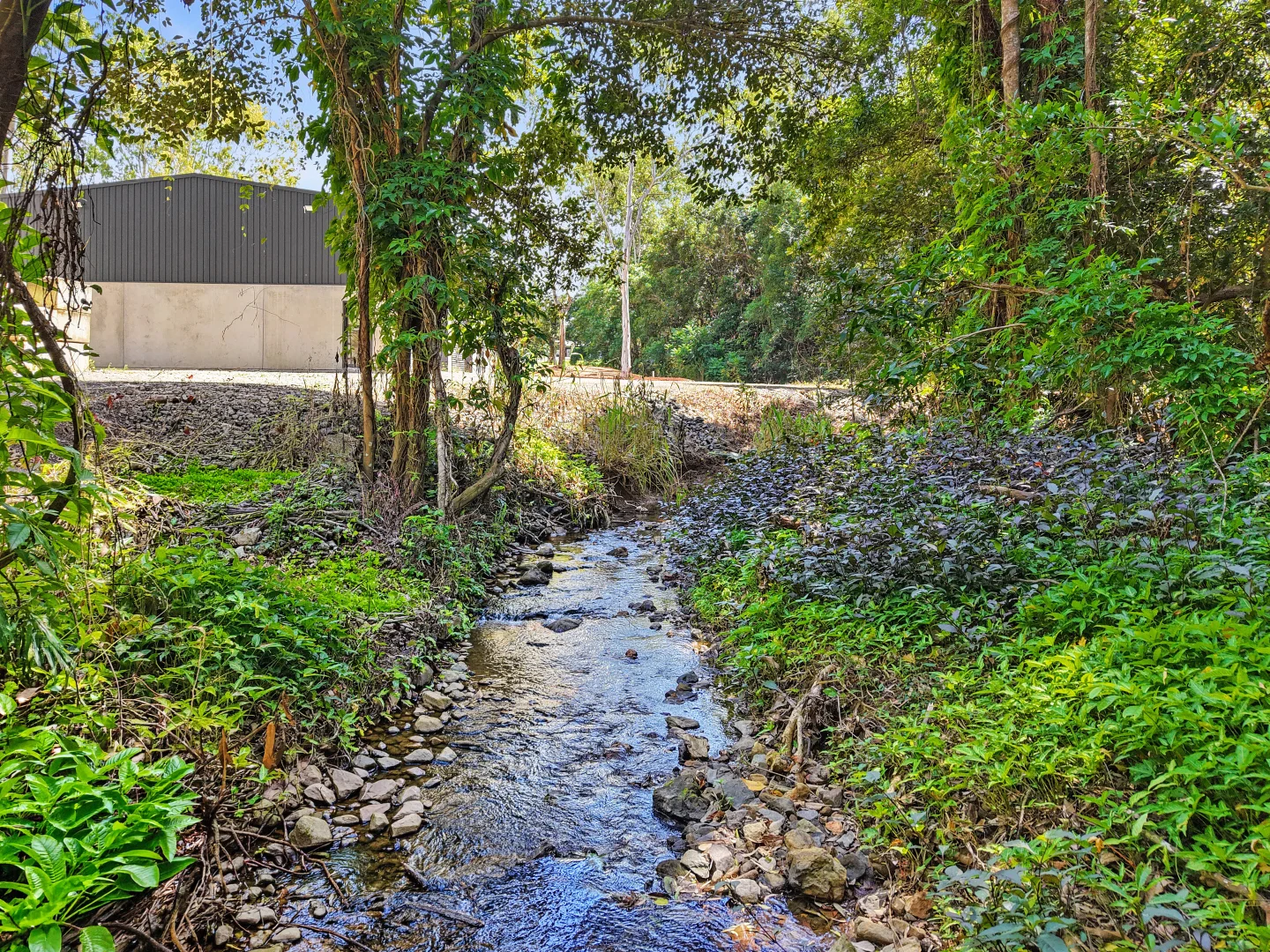 Image 4