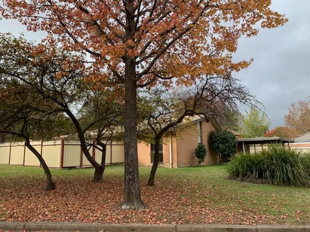 3 bedrooms House in 13 Werrina Crescent ARMIDALE NSW, 2350