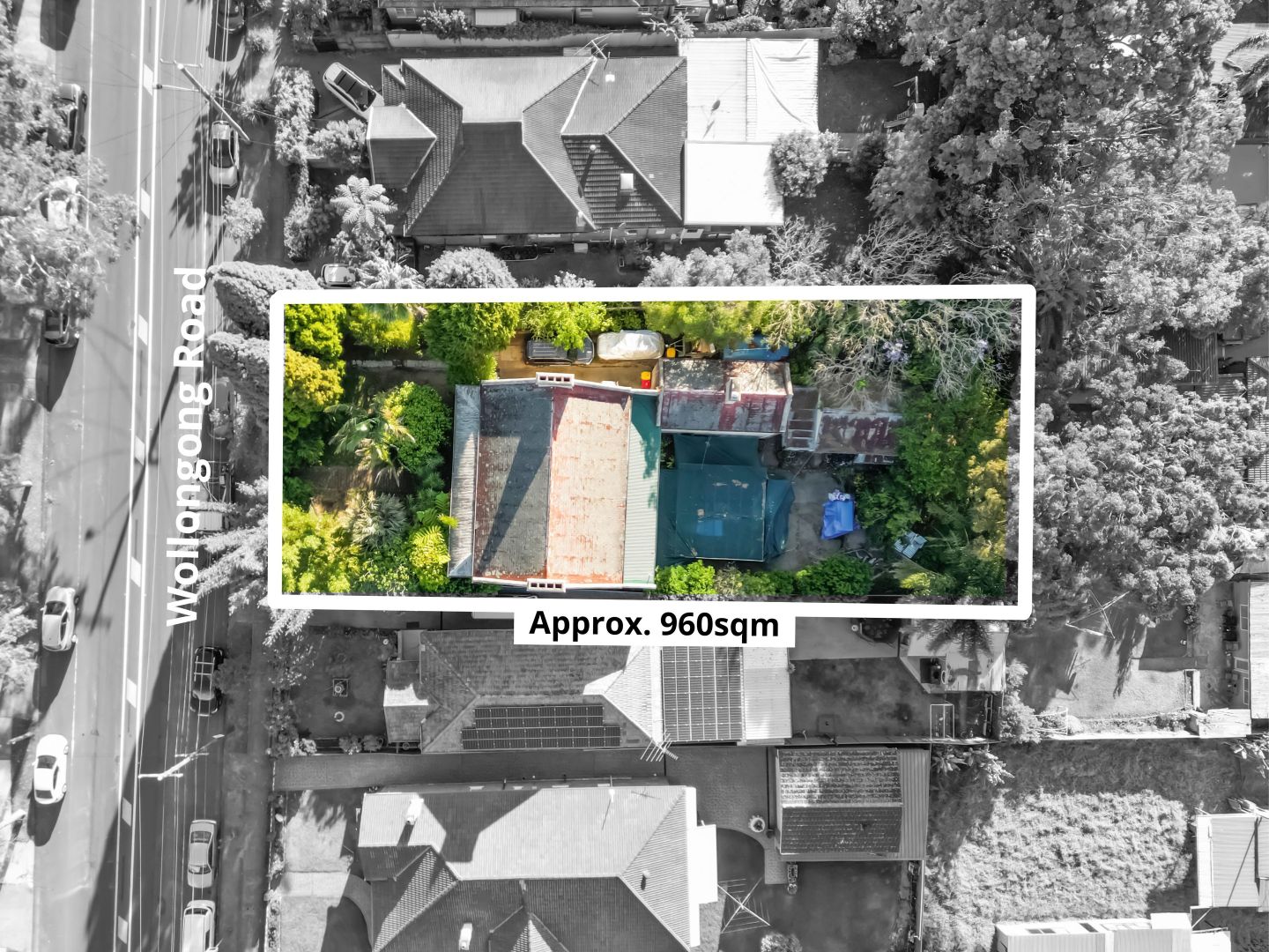 197 Wollongong Road, Arncliffe NSW 2205, Image 1