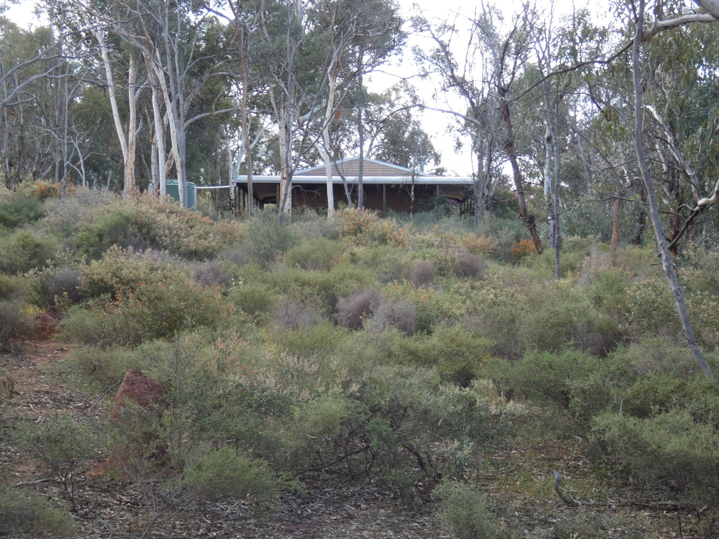 26 Broadgrounds Pl, Toodyay WA 6566, Image 2