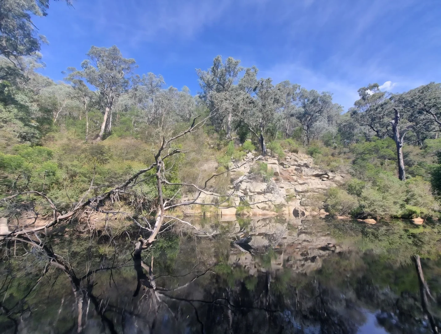 Image 19