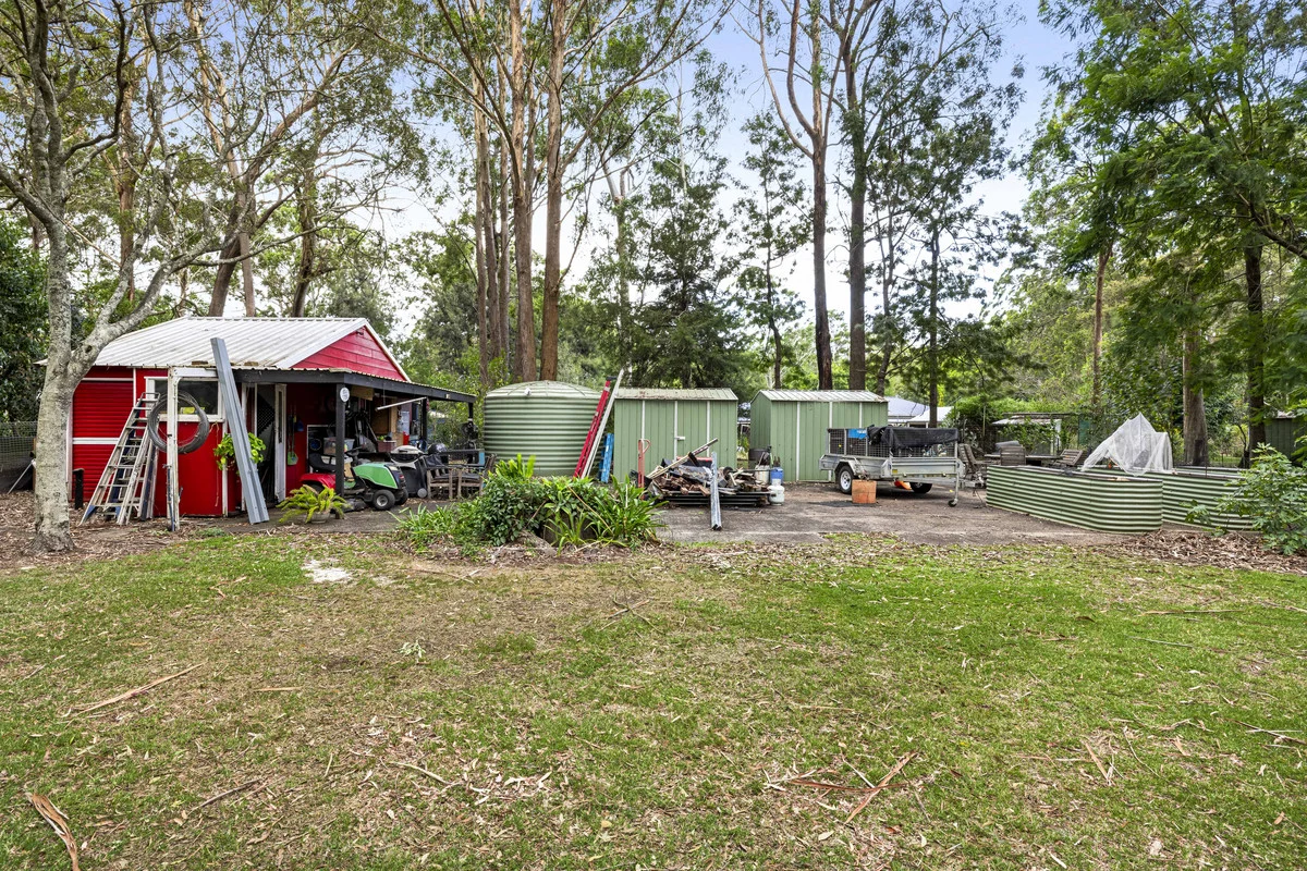 Image 15