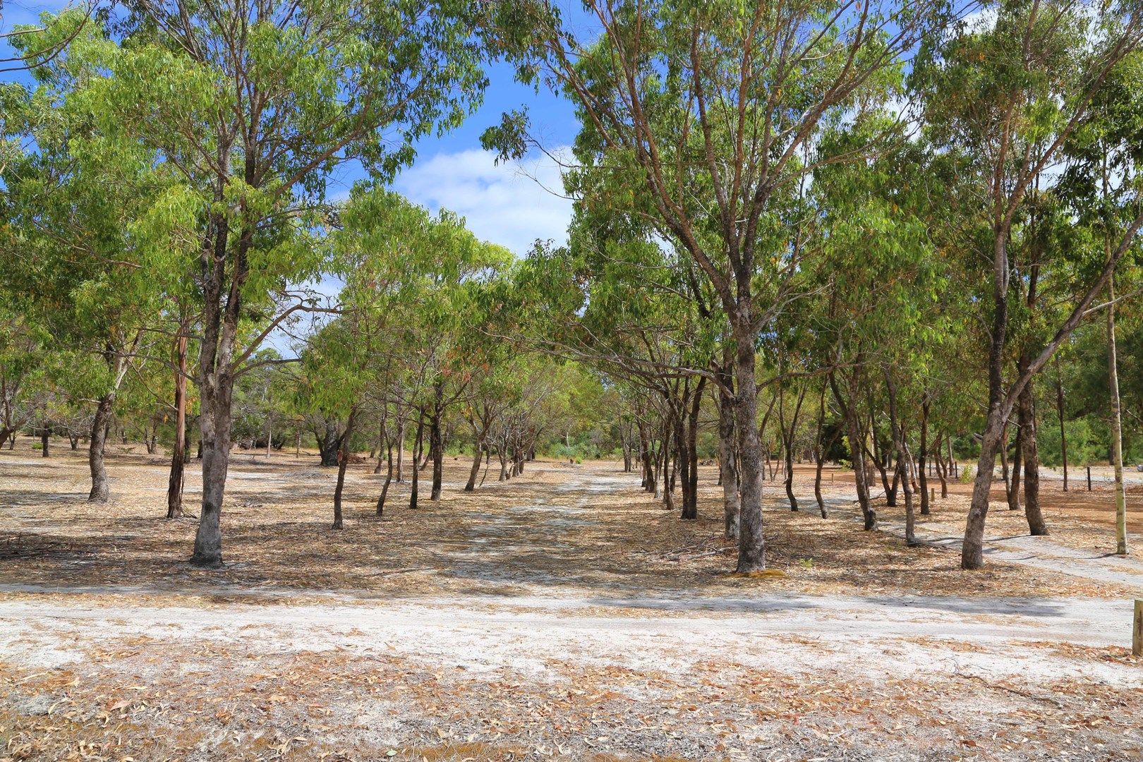 Lot 3 Cornerstone Way, Quedjinup WA 6281, Image 0