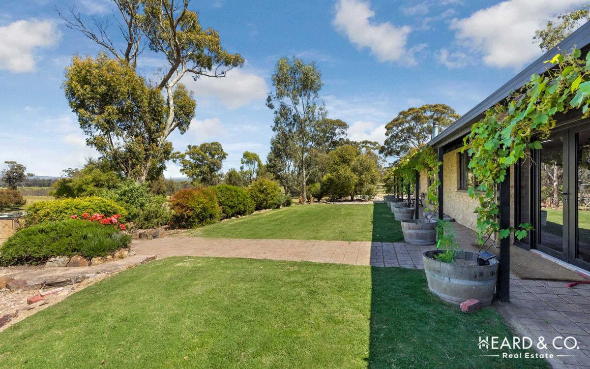 146 Kellys Road, Myrtle Creek VIC 3551 Domain