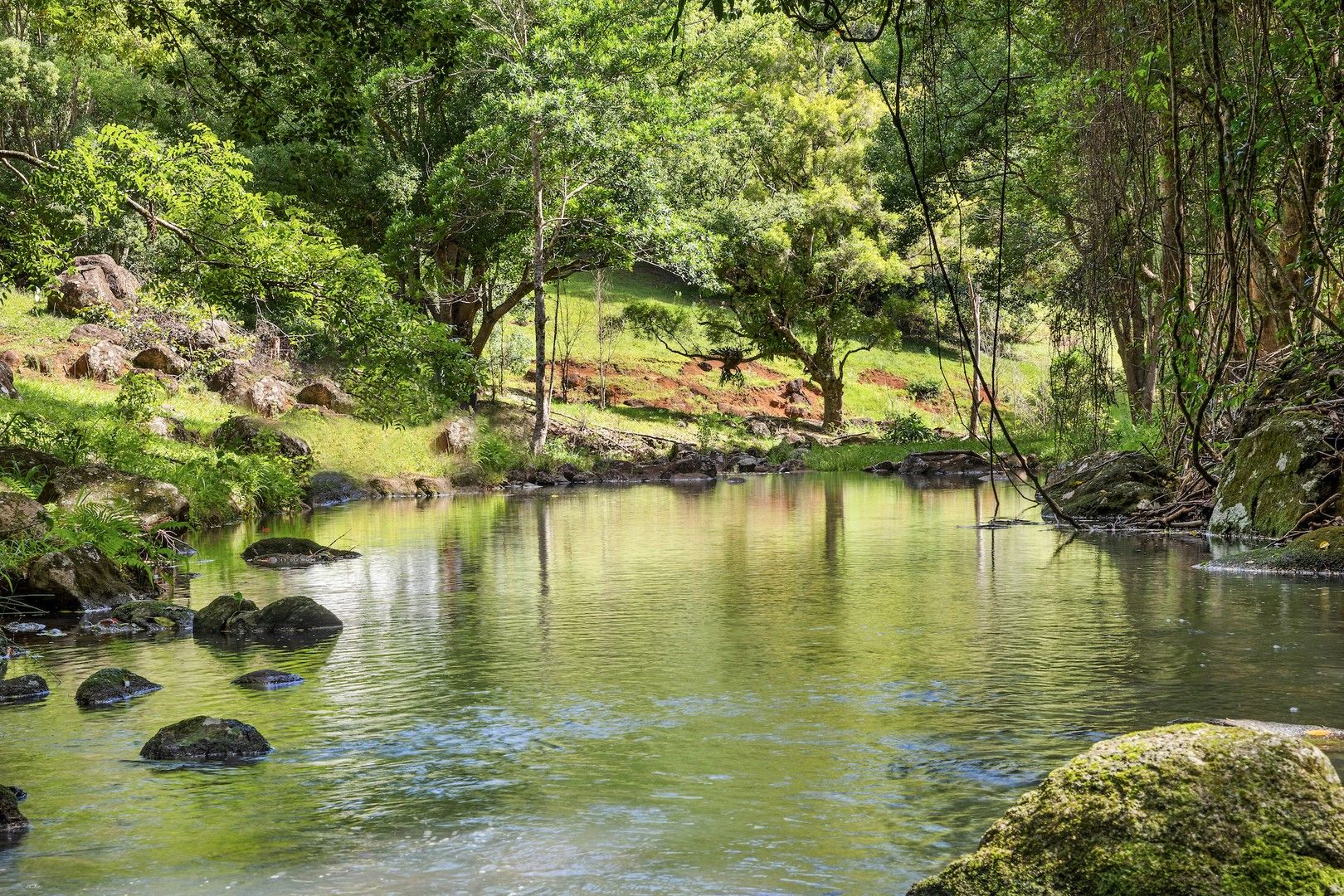 Acreage / Semi-Rural in 216 Repentance Creek Road, GOONENGERRY NSW, 2482