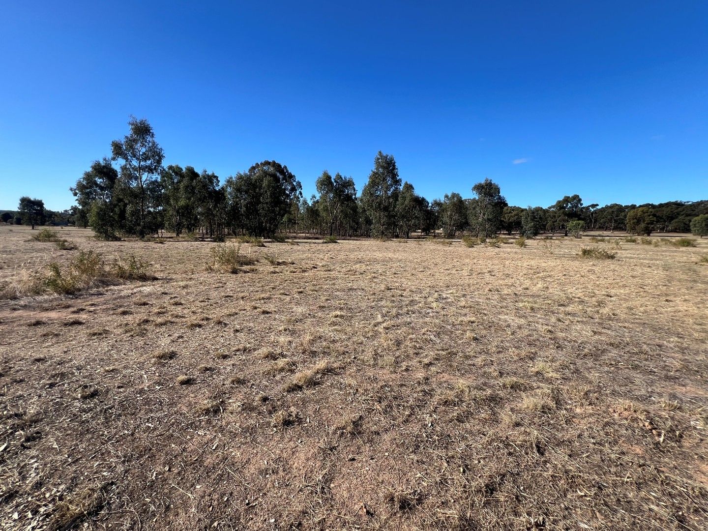 41 Calder Highway, Wedderburn VIC 3518 Vacant Land for Sale 210,000