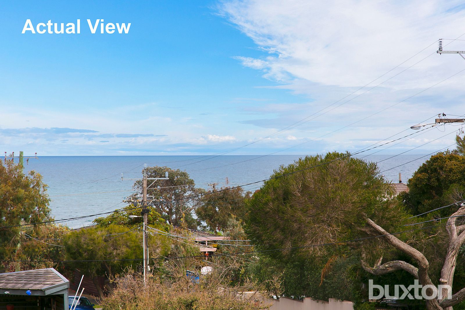 11 Wellington Avenue, Beaumaris VIC 3193, Image 1