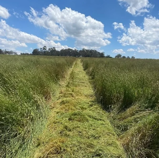 Additional image 17 of 75 Whiley Road, Spring Hill NSW 2800