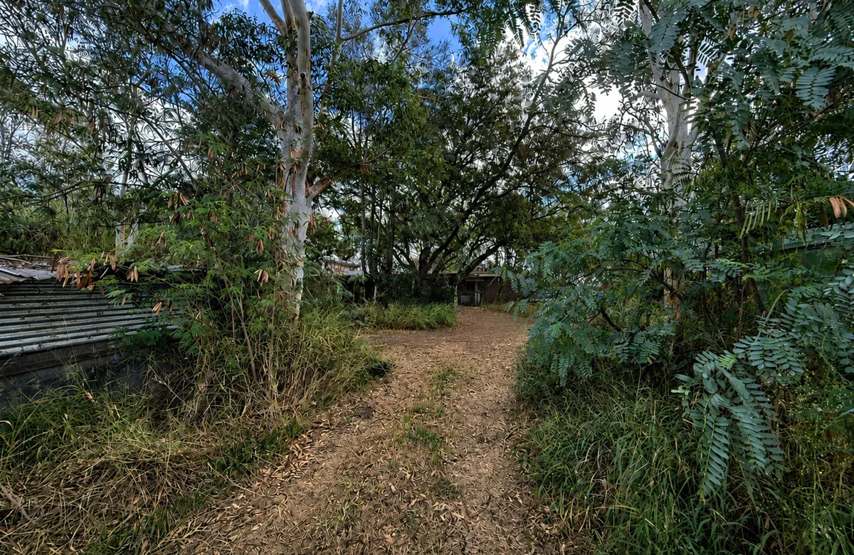 Image 13
