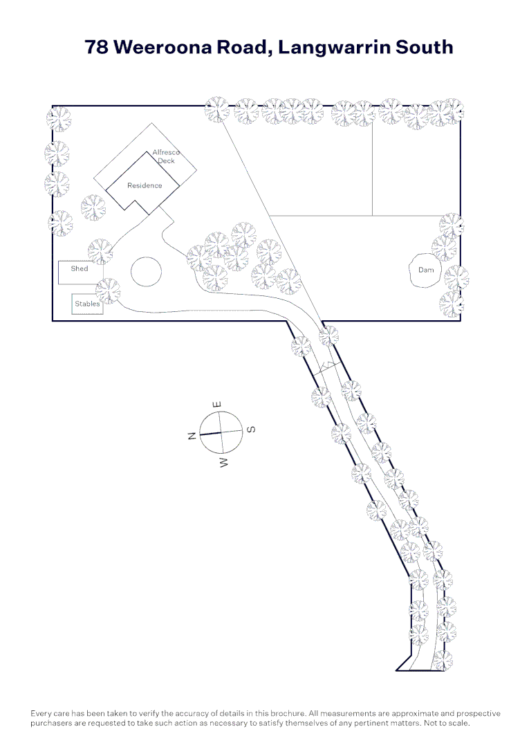 Image 14