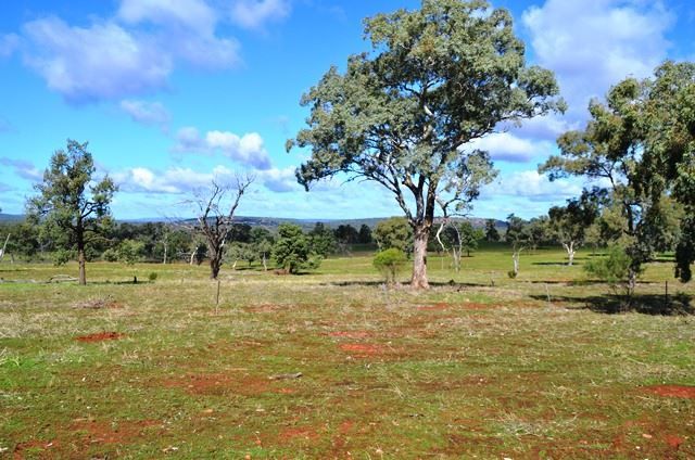 Buckambool Lerida/Roto Road, Cobar NSW 2835, Image 2