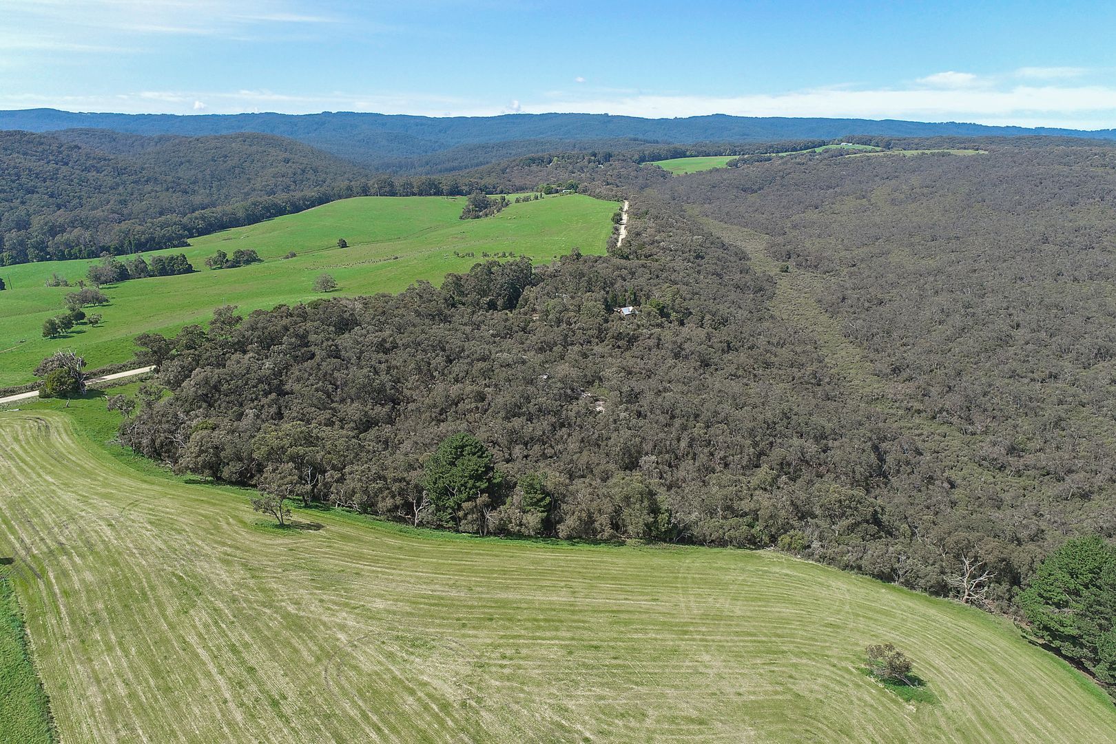 270 Moomowrong Road, Carlisle River VIC 3239 House for Sale