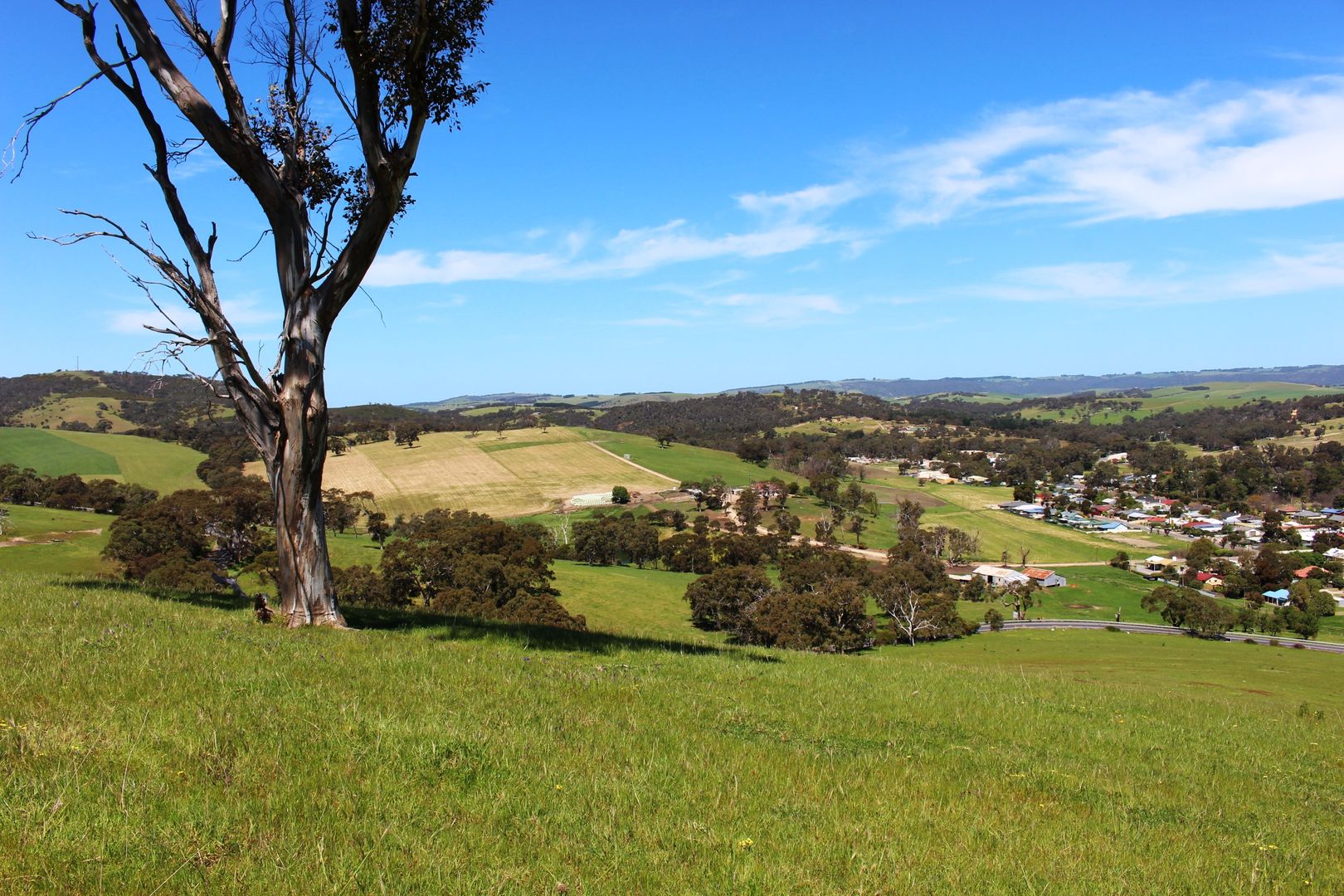 1002 Charles Street, Yankalilla SA 5203, Image 2