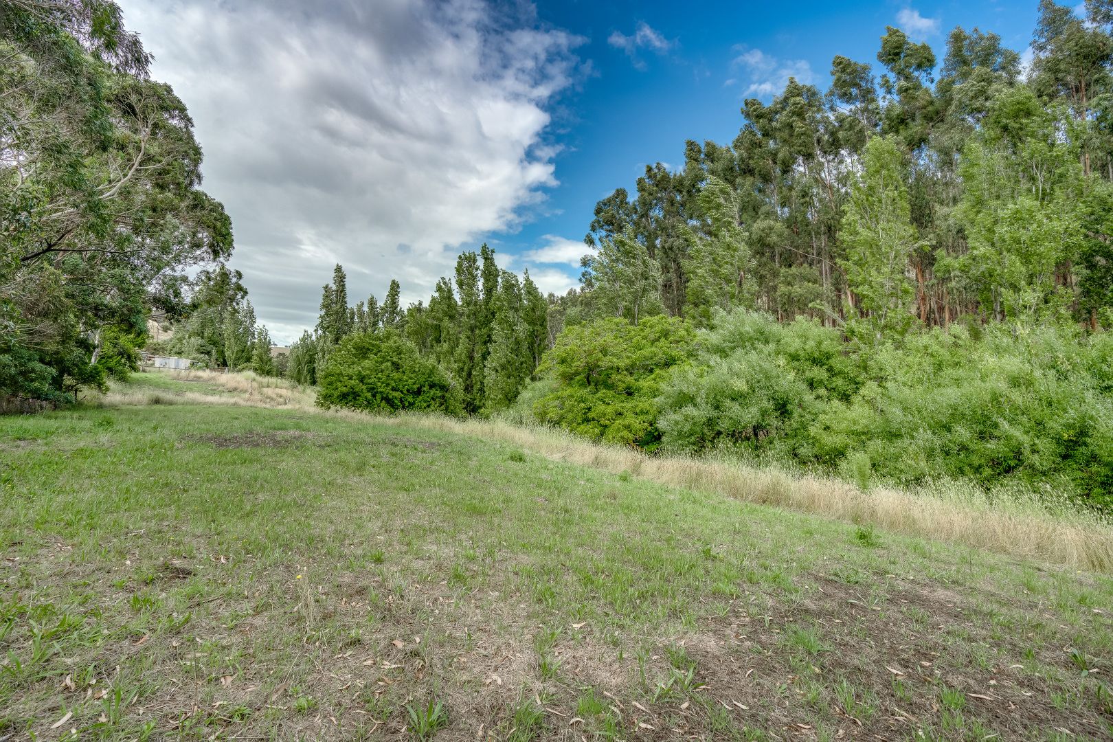 Lot 60 Bull Creek Road, Bull Creek SA 5157 Domain