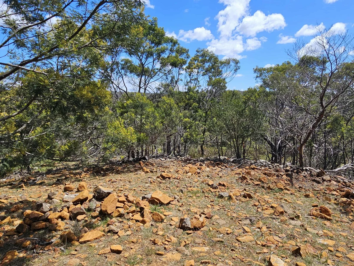 Image 10