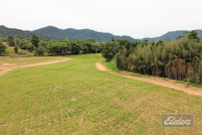 Picture of 464 MENA CREEK ROAD, MENA CREEK QLD 4871