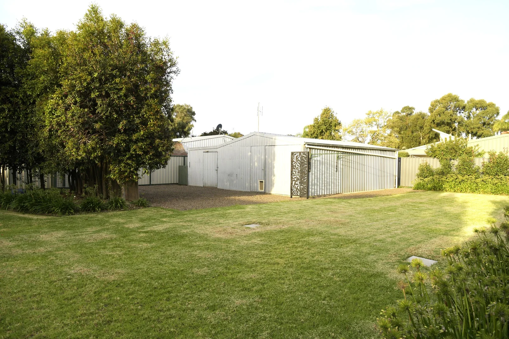 Image 29
