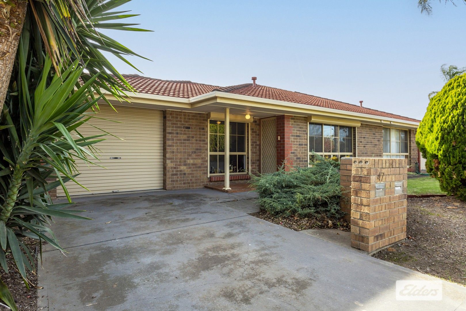 47 Fourth Avenue, Ascot Park SA 5043, Image 0