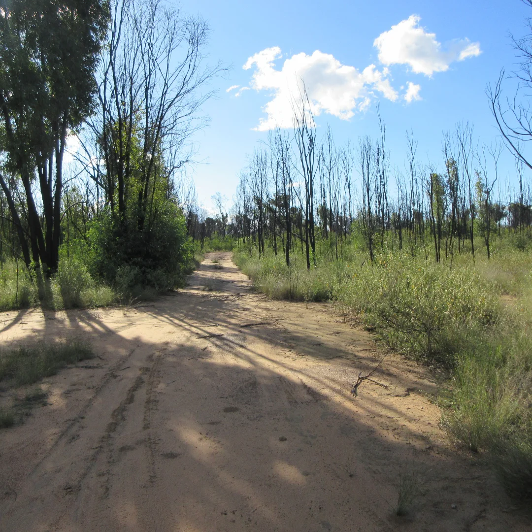 Additional image 5 of 10 Tara Chinchilla Road, Tara QLD 4421