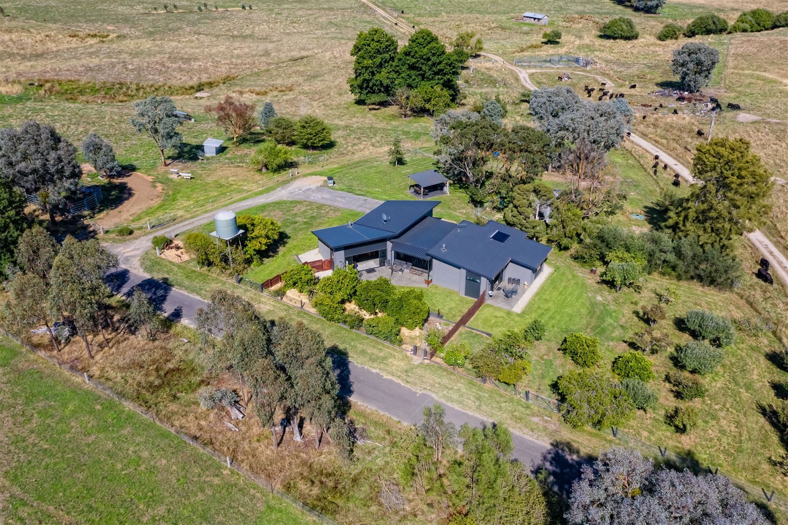 562 Blacks Flat Road, Mudgegonga VIC 3737, Image 2