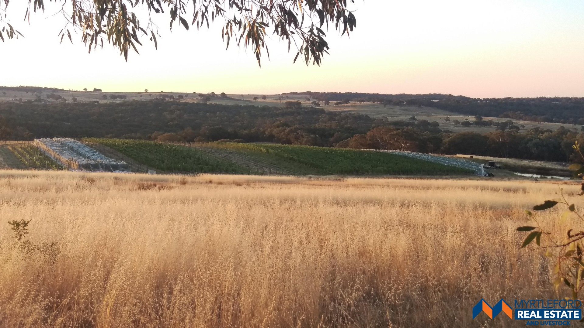 Lot 1 Flat Rock Rd, Beechworth VIC 3747 House for Sale Domain