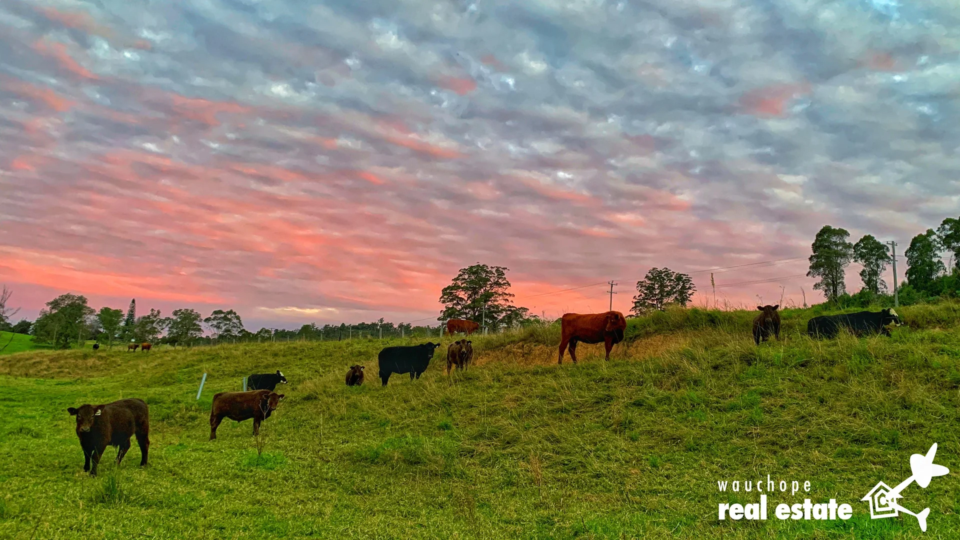 Additional image 32 of 1024 Pappinbarra Road, Pappinbarra NSW 2446