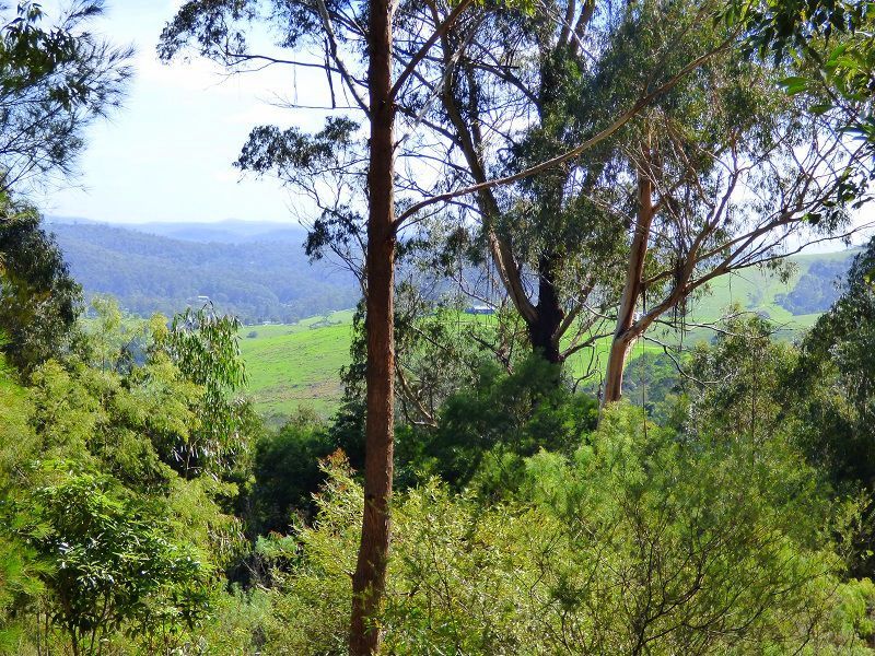 Lot 37 Via Ruggs Road, Nethercote NSW 2549, Image 1