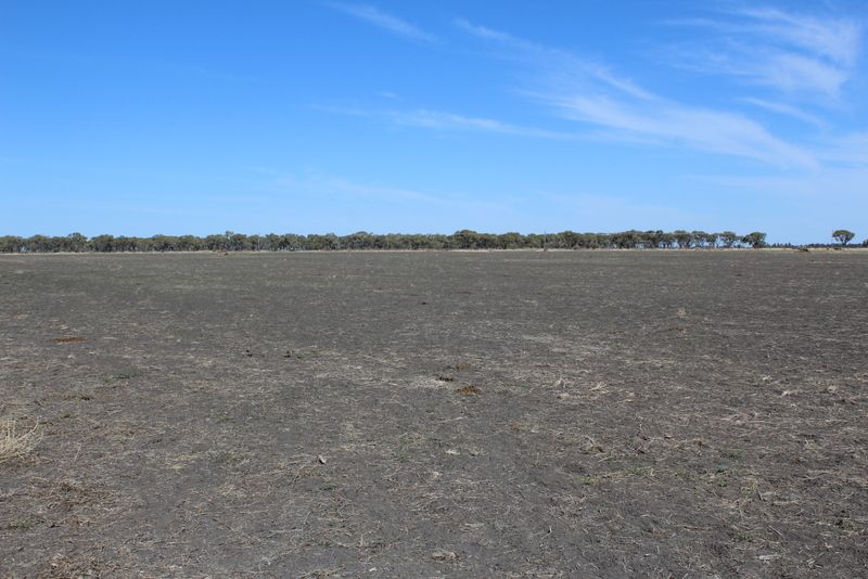 " Amaroo Drive Blocks", Moree NSW 2400, Image 1