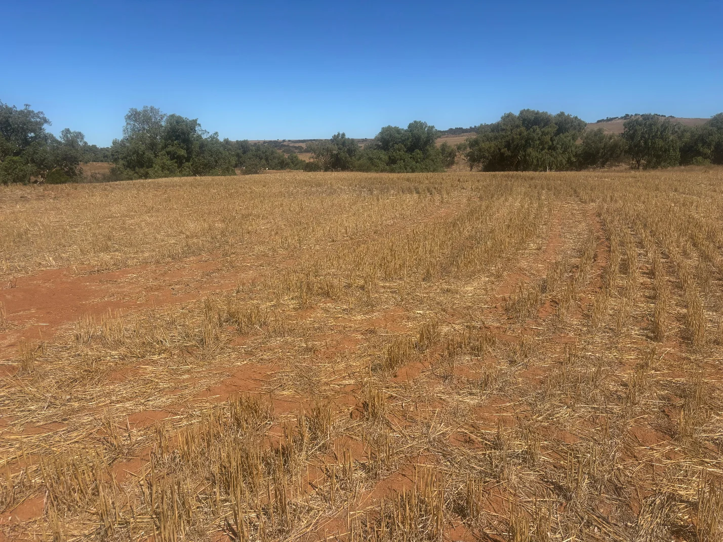 Additional image 15 of Lot 1 Giles Road, Moonyoonooka WA 6532