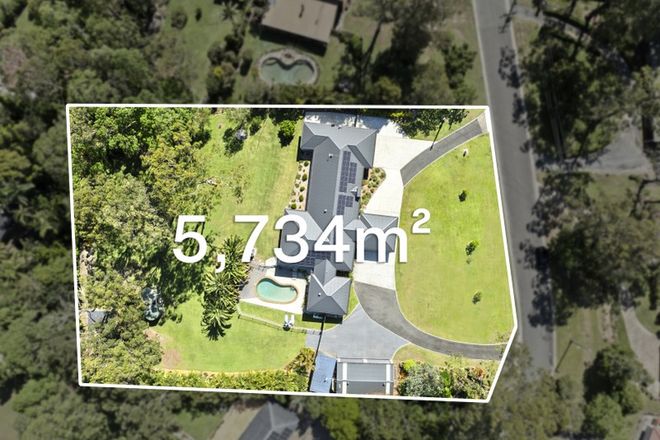 21 Lutana Street Nerang 4211 - Image 5