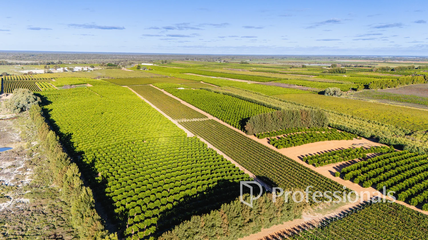 Additional image 4 of 2050 Kulkyne Way, Iraak VIC 3494