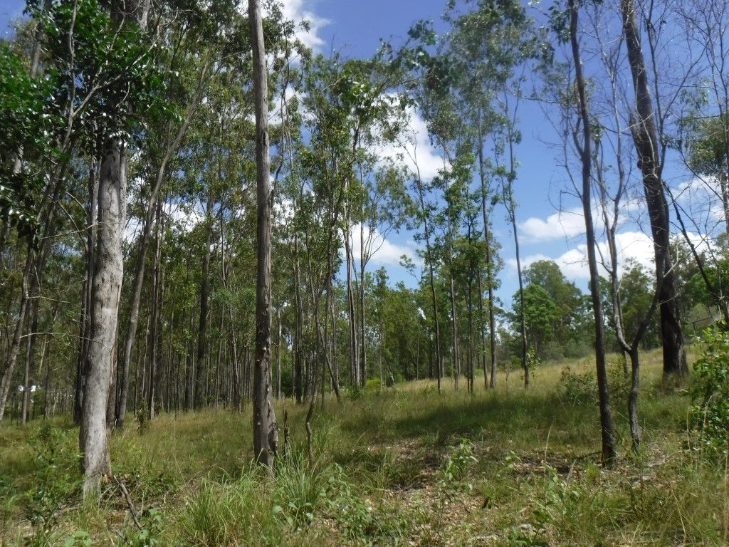 Bauple QLD 4650, Image 2