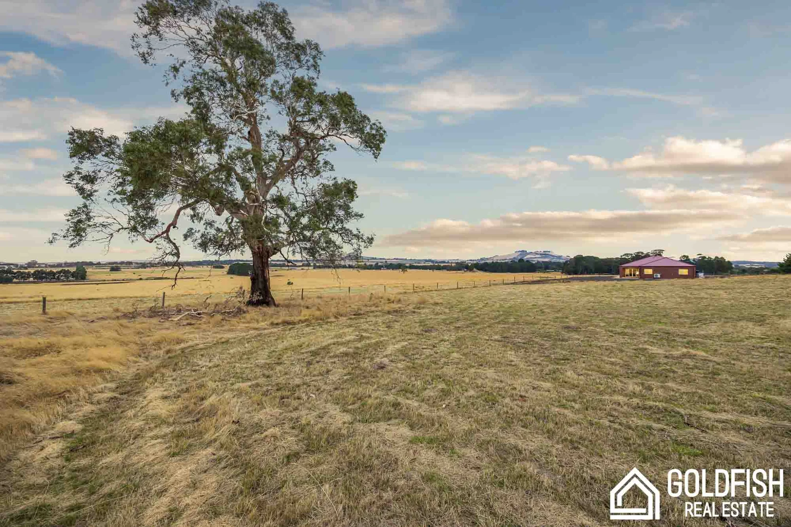 Additional image 31 of 80 Lone Hand Road, Allendale VIC 3364