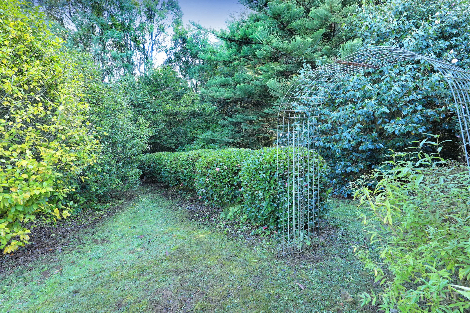 Image 19