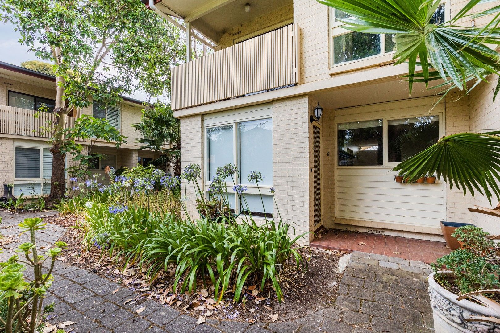 8/45 Opey Avenue, Hyde Park SA 5061, Image 0