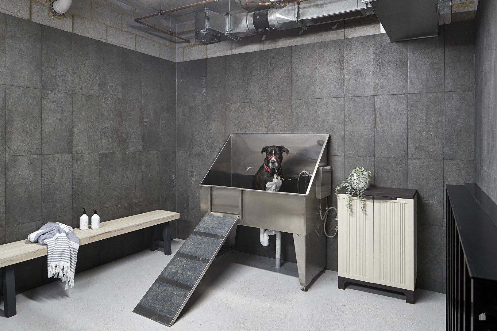 1 bedrooms Apartment / Unit / Flat in G24/45 Linden Avenue IVANHOE VIC, 3079