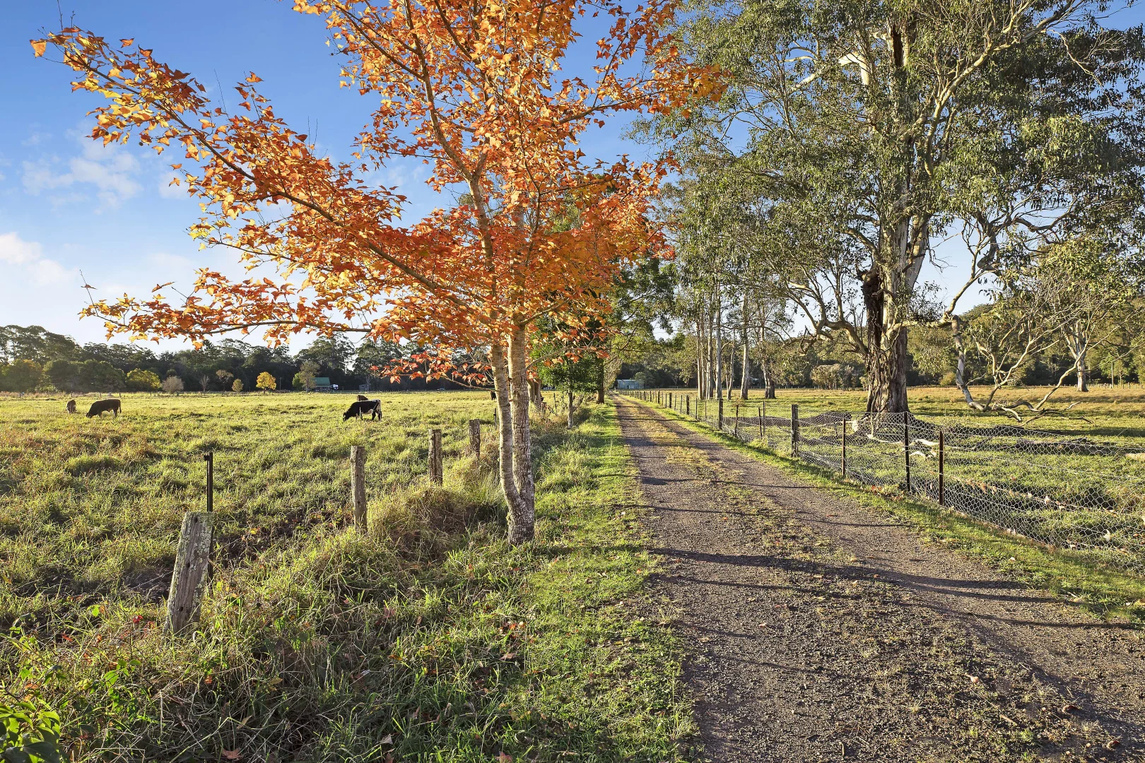 Additional image 5 of 25 Mardi Road, Mardi NSW 2259