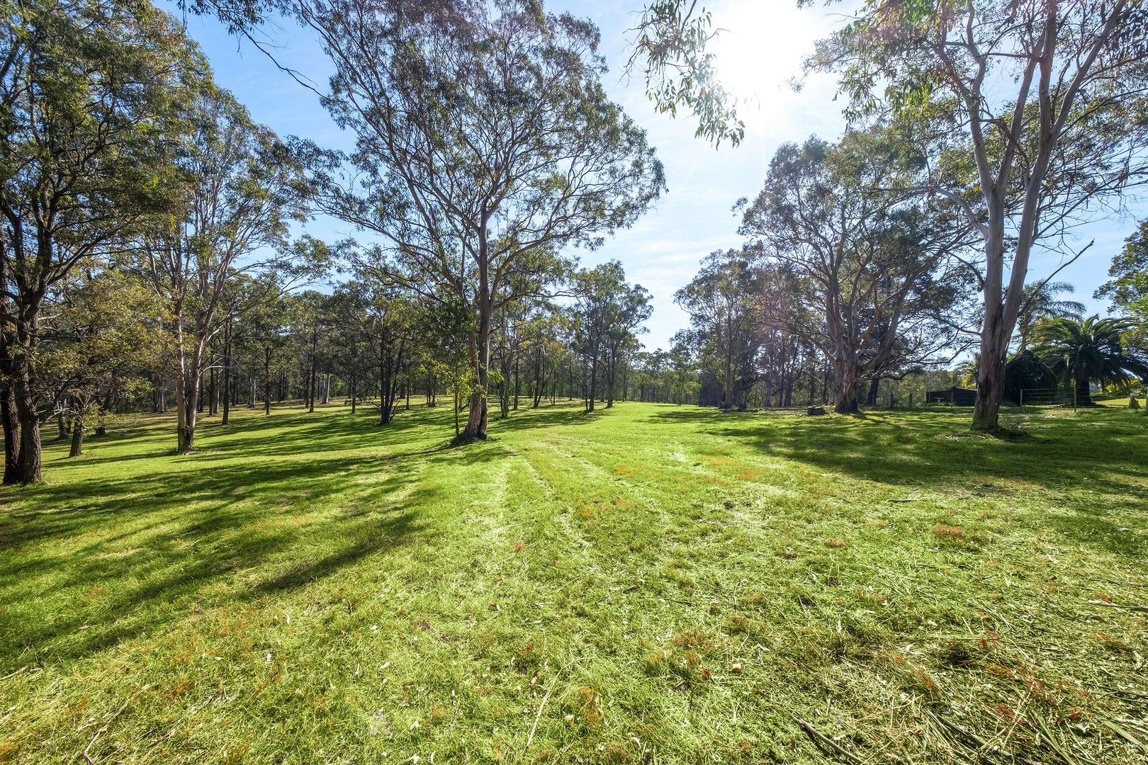 Proposed Lot 12 of 321A East Kurrajong Road, East Kurrajong NSW 2758, Image 2