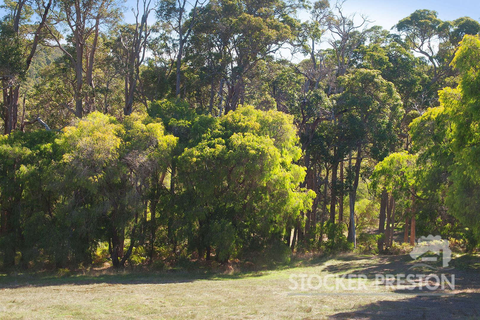 12 Ellen Place, Margaret River WA 6285, Image 2