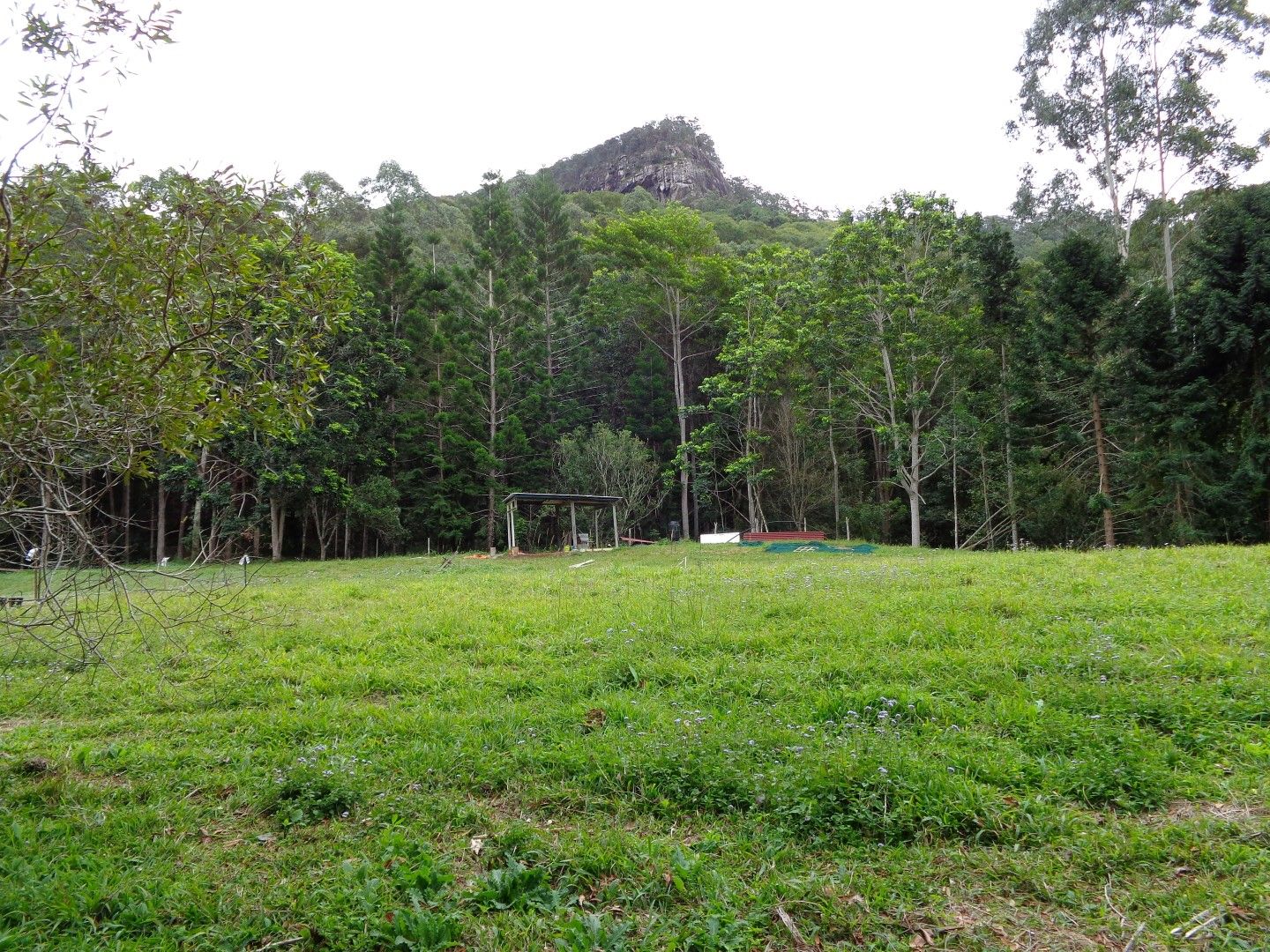 Mount Warning NSW 2484, Image 2