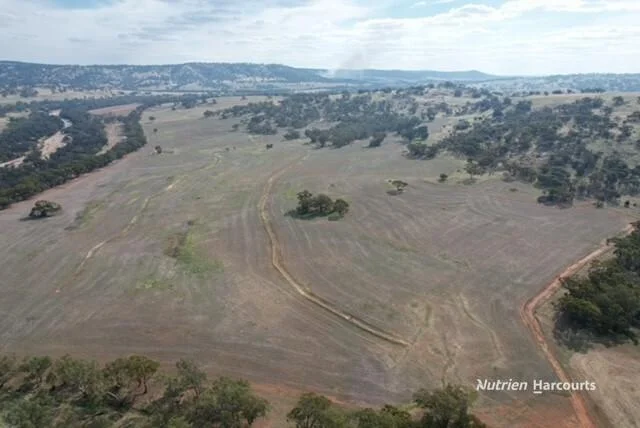 Additional image 9 of "Nundah" Katrine Road, Northam WA 6401