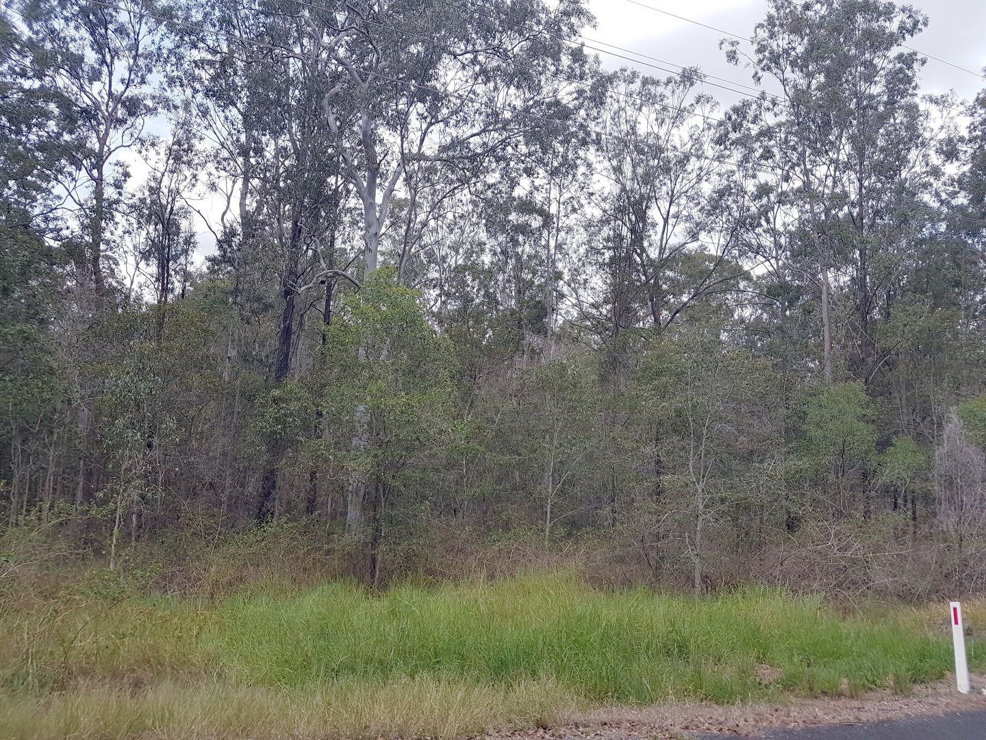 Lot 84 Deephouse Road, Bauple QLD 4650, Image 2