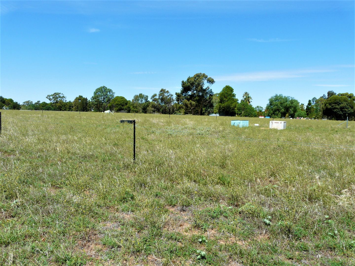 17 Honniball Drive, Tocumwal NSW 2714, Image 2