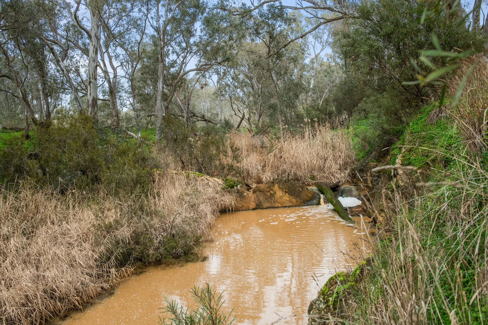 Image 11